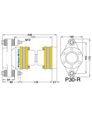 PYTHON-DRIVE P30-R